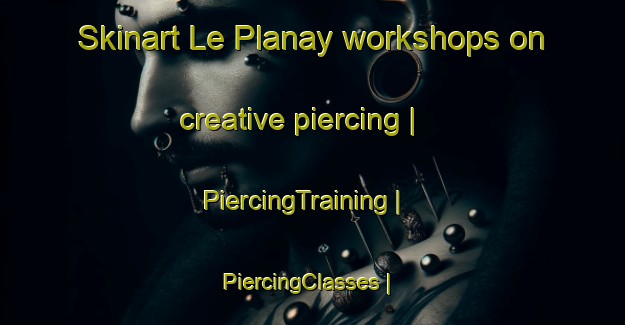 Skinart Le Planay workshops on creative piercing | PiercingTraining | PiercingClasses | SkinartTraining-France